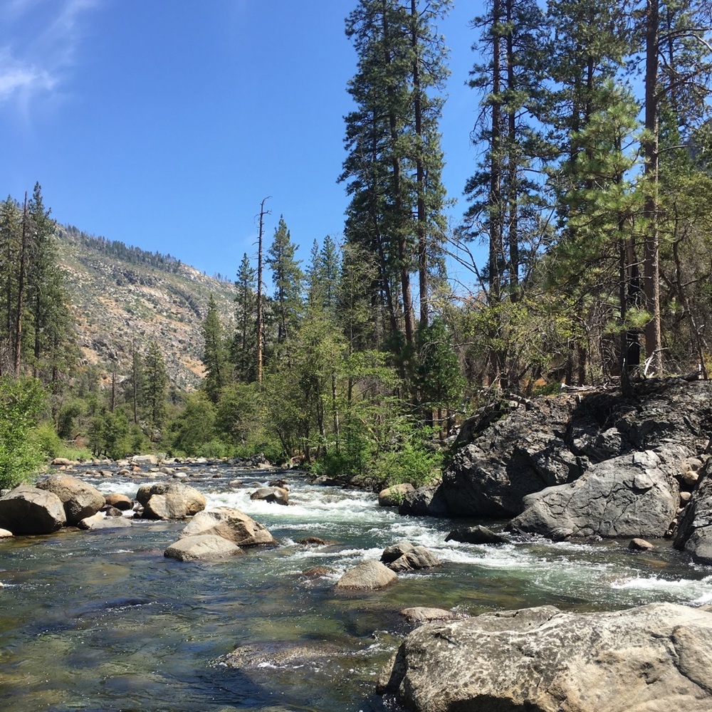 Meet your Posher, Matthew!